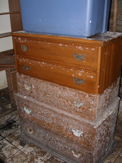 Furniture8