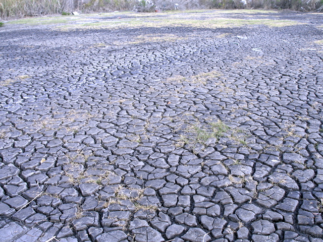 Caked Mud